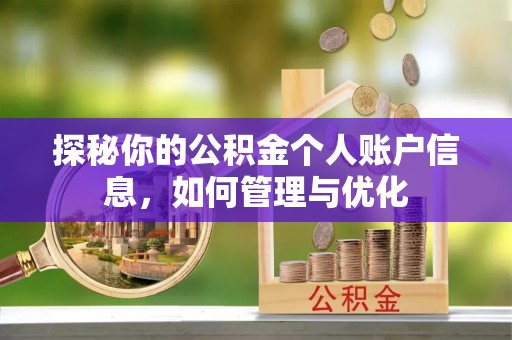 施甸探秘你的公积金个人账户信息，如何管理与优化