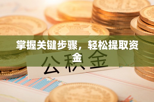 施甸掌握关键步骤，轻松提取资金