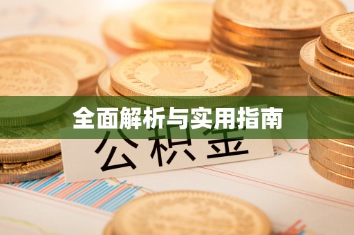 施甸全面解析与实用指南