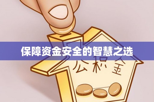 施甸保障资金安全的智慧之选