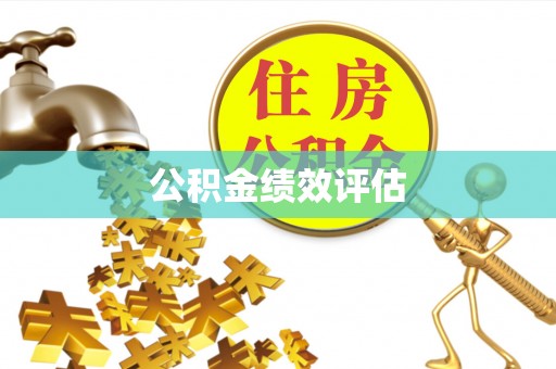 施甸公积金绩效评估