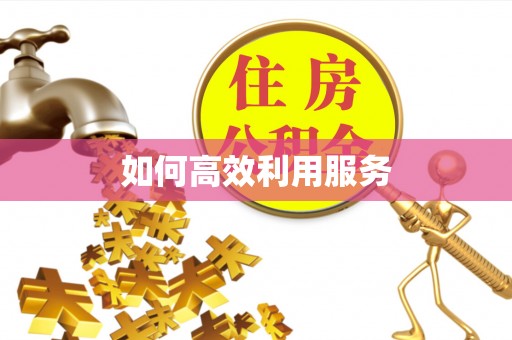 施甸如何高效利用服务