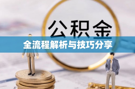 施甸全流程解析与技巧分享